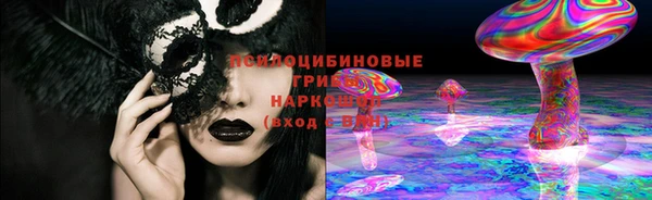 прущая мука Дмитровск